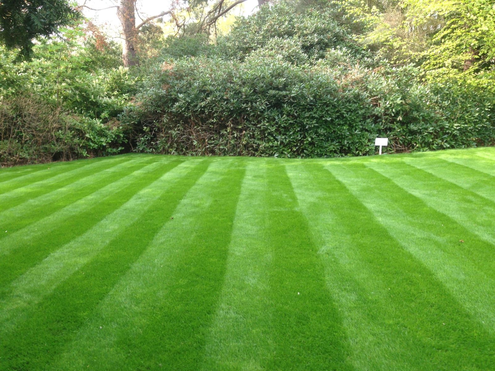 Electrical Heater Repair